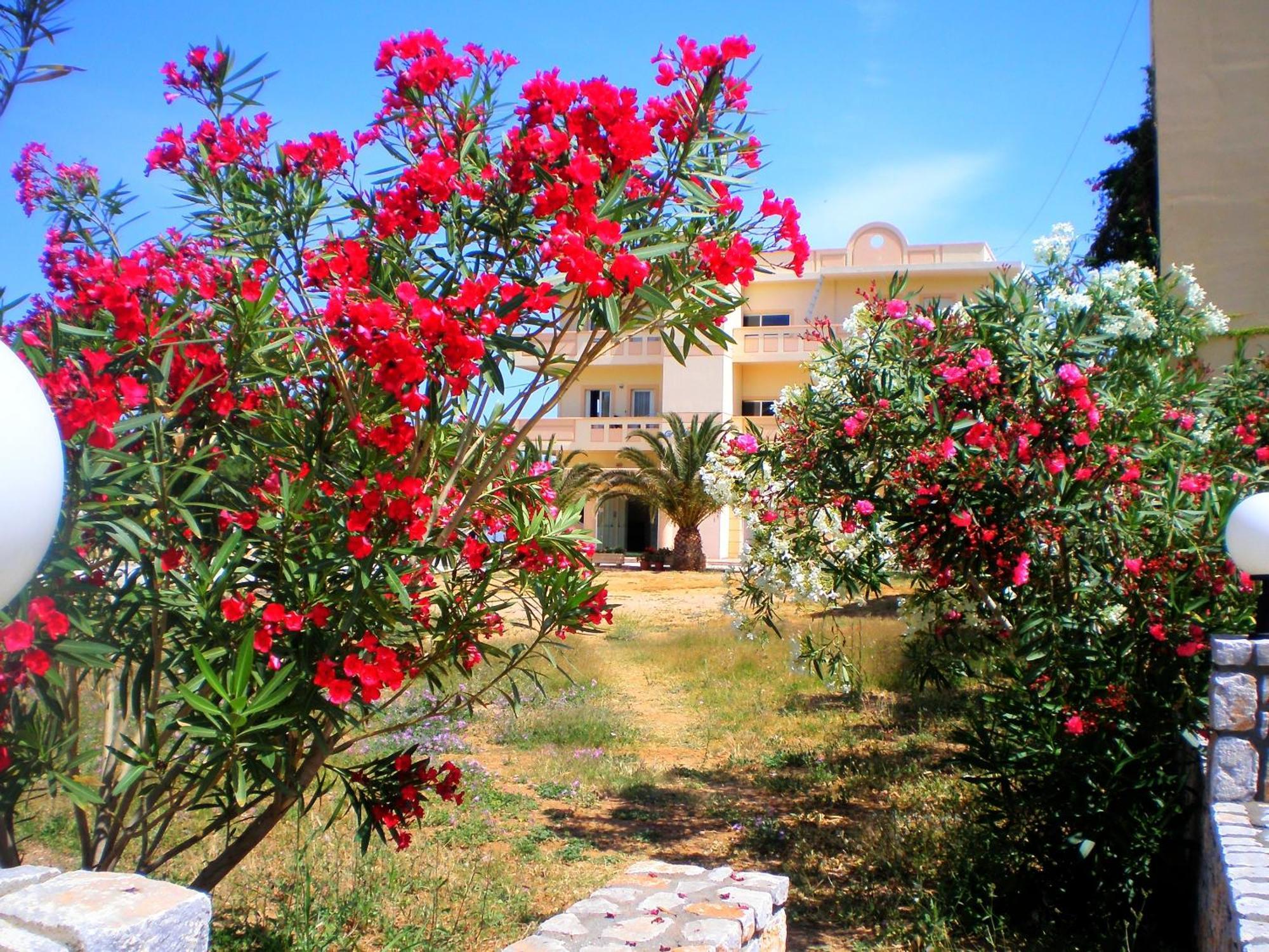 Galini Beach Hotel Kíssamos Dış mekan fotoğraf