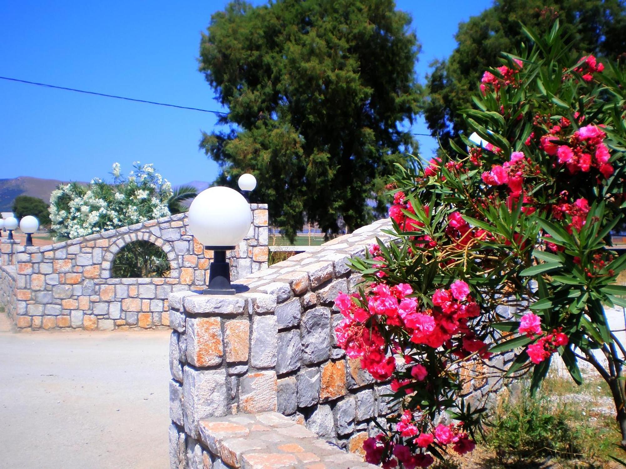 Galini Beach Hotel Kíssamos Dış mekan fotoğraf